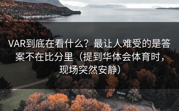 VAR到底在看什么？最让人难受的是答案不在比分里（提到华体会体育时，现场突然安静）