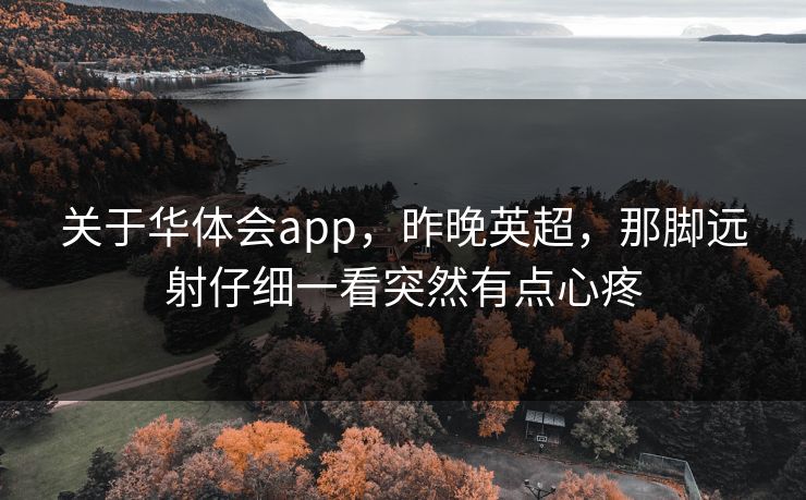 关于华体会app，昨晚英超，那脚远射仔细一看突然有点心疼